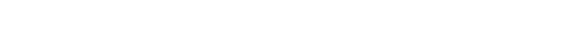 Allari - Execution Capacity Partner for Enterprise IT